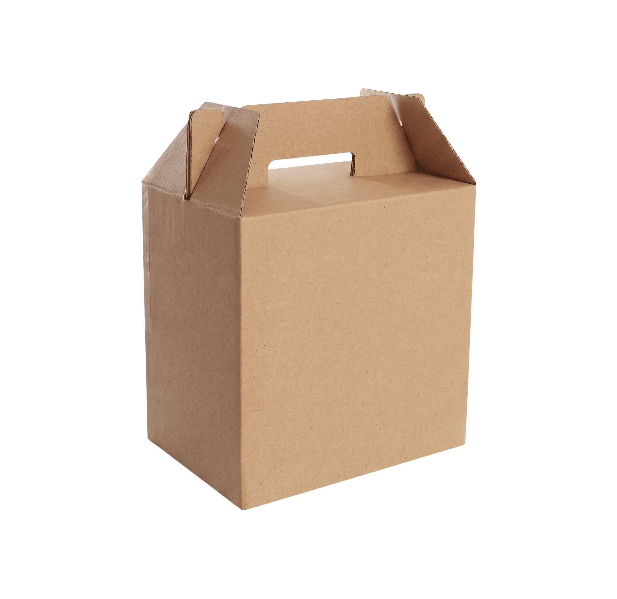 Cajas Lonchera