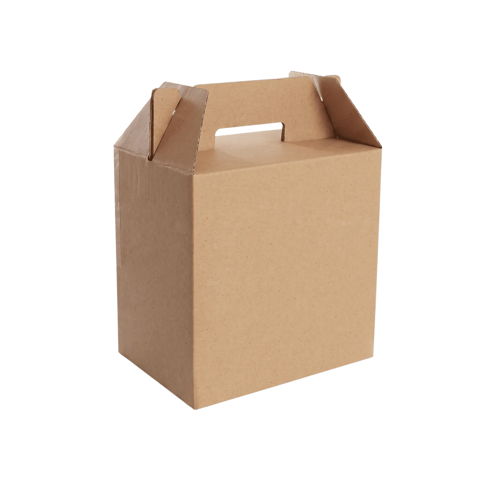 Cajas Lonchera
